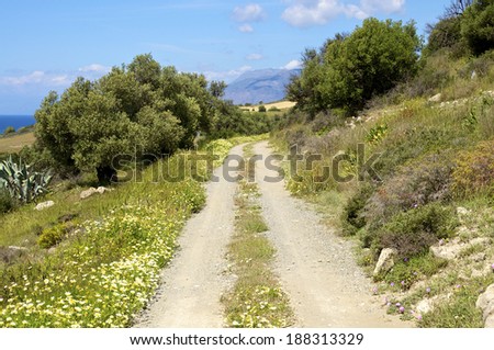 Crete in April. Rain was falling and the vegetation is everywhere green. It is one of the most beautiful times in Greece. In the landscape, you have fields and olive grooves when you cross the island