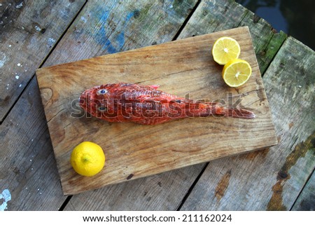 raw fish on a wooden background - Grooper, red scorpion-fish