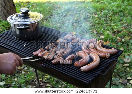 meat for a barbecue pig veal sausages grilled chicken grilled veggies picnic BBQ