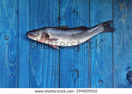 fresh raw fish hanging on a blue wooden fence on a fishing hook - Bass, European seabass, lubin, brancin, smudut, Wolfbarsch, Meerbarsch