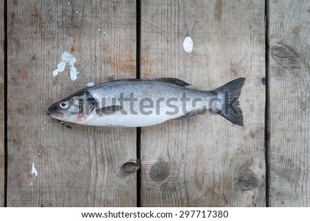 fish - raw fish on a natural wooden floor -  Bass, European seabass, lubin, brancin, smudut, Wolfbarsch, Meerbarsch