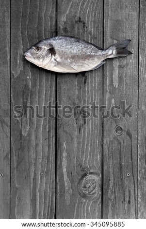fish - raw fish hanging on a wooden fence - Goldfish, gilthead, sea bream