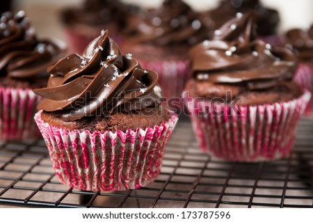 Chocolate Cupcakes on Cooling Rack