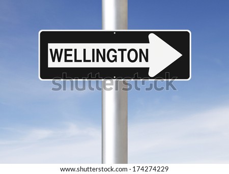 A modified one way sign indicating Wellington (New Zealand)