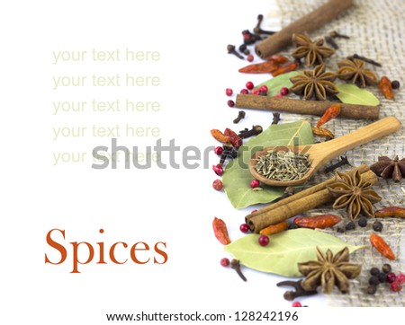 A variety of spices  with a wooden spoon on bagging isolated