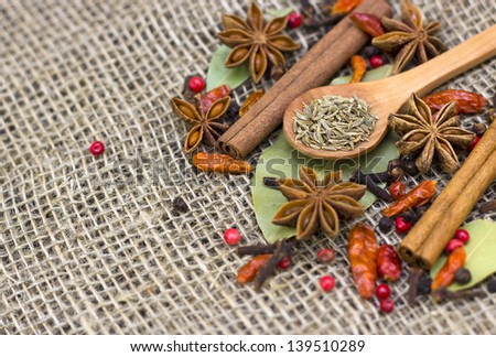 A variety of spices  with a wooden spoon on bagging