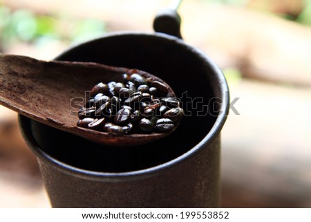 The Coffee bean / The coffee bean in dipper