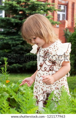little girl plays with flowers in her garden