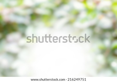 Natural green blurred background. De-focused green blurred background.