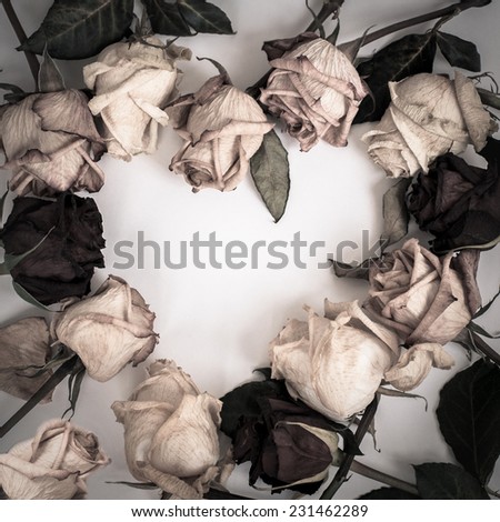 withered rose  Dead Roses frame of heart