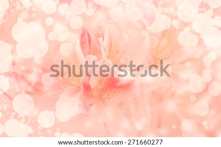 Beautiful pink flowers background. Short depth-of-field