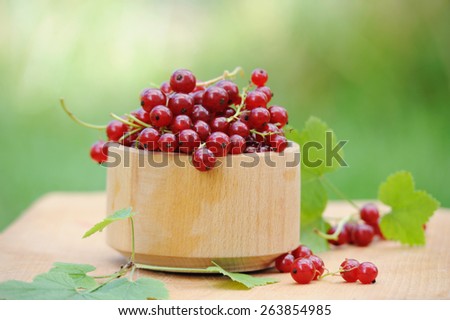 Wooden bowl with fresh red currants outdoor