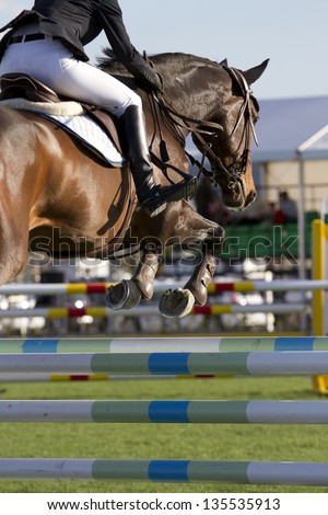 Horse jump a hurdle in a competition/Equestrian jumper