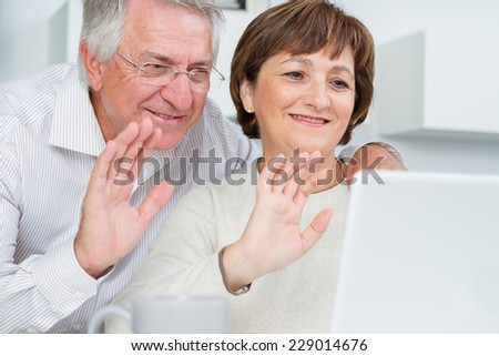 Seniors couple using a computer chatting via webcam and waving hands