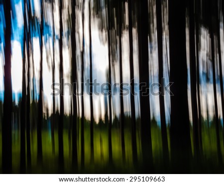 abstract artistic vertical motion blurred tree trunks, wall art