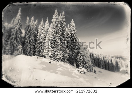 fabulous snow-capped mountains in black and white