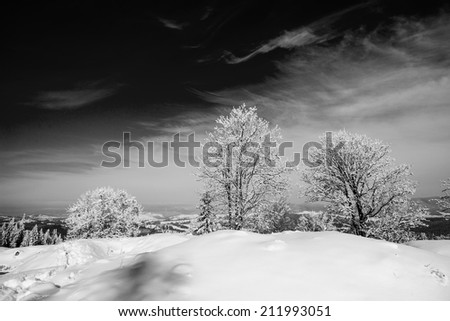 fabulous snow-capped mountains in black and white