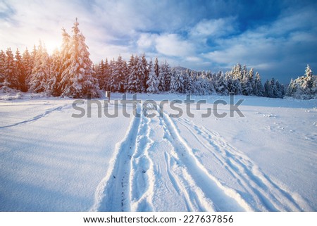 winter road winter road