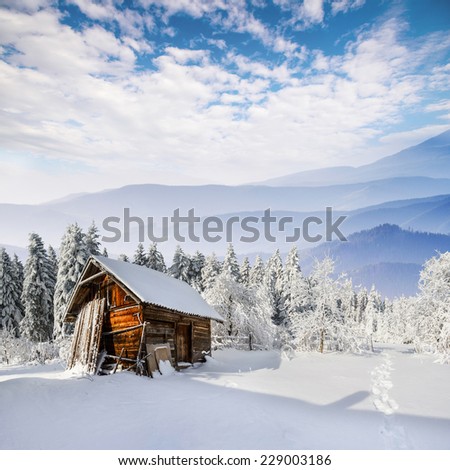 beautiful wooden house in a winter sunny day