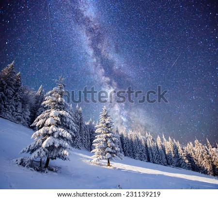 magic tree in starry winter night