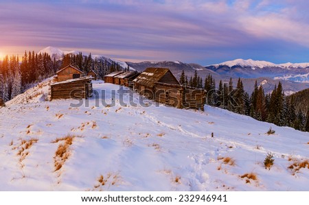 cottage in snowy mountains with fabulous winter trees