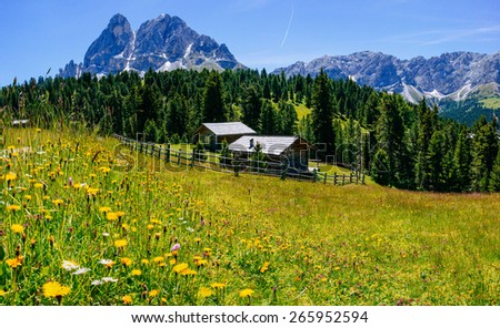 Charming house in summer sunny day in Alps