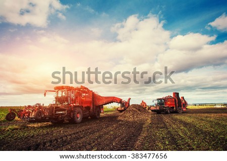 Agricultural vehicle harvesting sugar beets