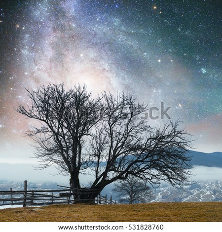 Fantastic landscape lonely tree in the early days of winter in the mountains under a starry night sky and the Milky Way. Courtesy of NASA. Carpathian, Ukraine, Europe.
