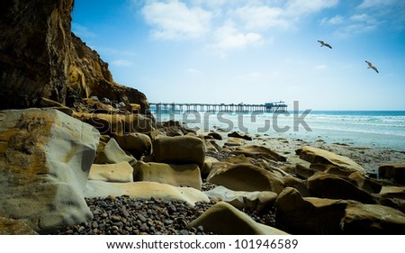 San Diego California Coast Line and Seagulls, Scripps Pier La Jolla Shores in San Diego, California USA