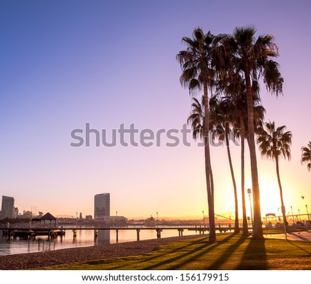 California Palm Trees And City Of San Diego, California Usa