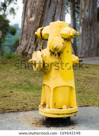 Yellow Fire Hydrant in a Park for Fire Extinguishing in a Emergency