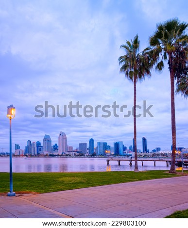 Downtown City View and Palm Trees Coronado Island of San Diego, California, USA