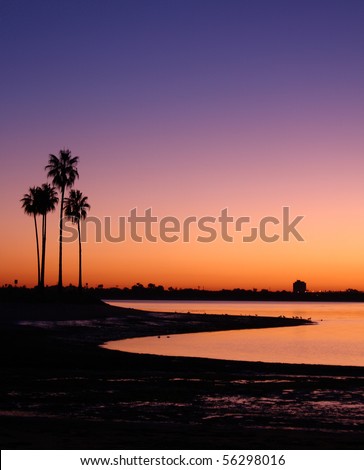 California Palm Trees and Sunset at Mission Bay San Diego, California