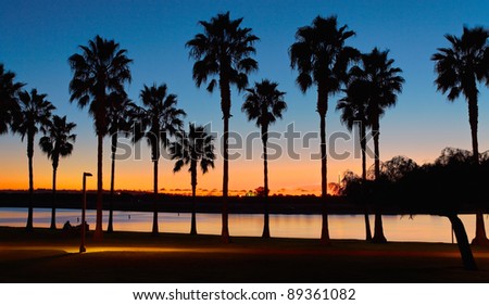 San Diego Sunset and Palm Trees at Mission Bay San Diego, California