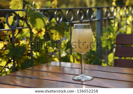Outside At the river Saale in Germany A glas of wine