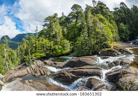waterfall in mountain forest, stream with stones