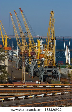 Cargo sea port. Sea cargo cranes. Sea