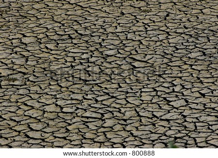 Texture: dried river