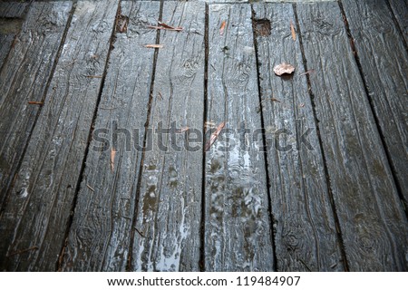 wet wood road and wall