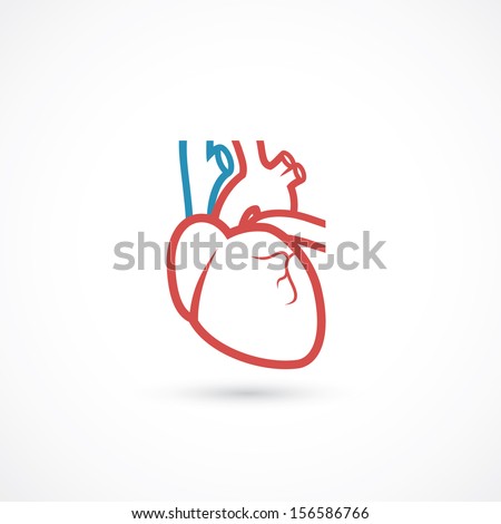 Human heart symbol vector illustration Human heart symbol vector illustration