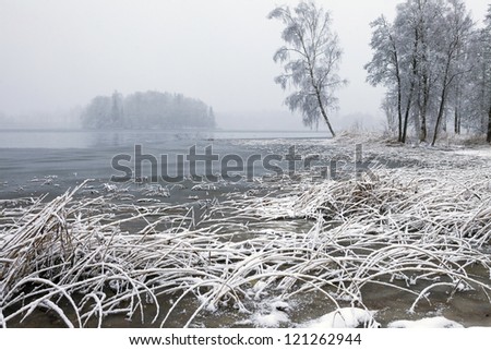 Snow-covered reeds and grass, a lake with an island, falling snow and birches at the edge of the lake