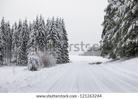 A set of pine trees in snow-covered field, snow falls, road in perspective