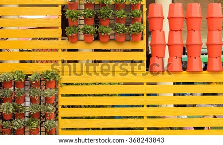 Potted plants hanging on a wooden wall, beautiful Potted plants hanging on yellow wood