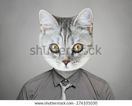 cat in suit