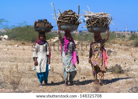 RAJASTHAN, INDIA - FEB 27 : women carry a basin full of cow dung on their head on February 27, 2013 in Rajasthan, India. Cow dung will be caked, dried and used as cooking fuel for villagers in India.