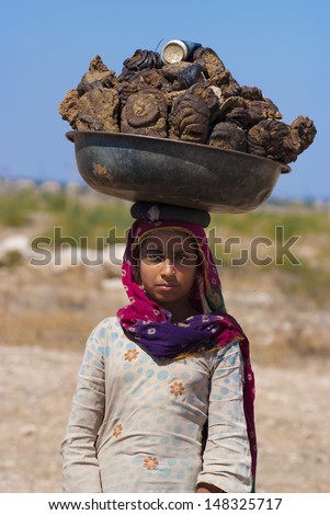 RAJASTHAN, INDIA - FEB 27 : a woman carries a basin full of cow dung on her head on February 27, 2013 in Rajasthan, India. Cow dung will be caked, dried and used as cooking fuel for villagers in India