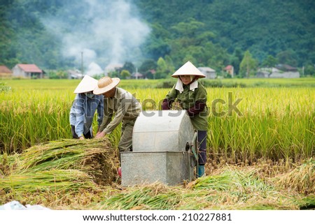 BAC SON,VIETNAM-JUL 12: Farmers use a threshing machine to remove grains from the panicle on July 12, 2014 in Bac Son,Vietnam.The machine is more productive than the traditional way of hand threshing.