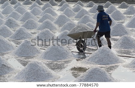 SAMUTSONGKRAM, THAILAND - MARCH 14: a man works at a salt farm on March 14, 2010 in Samutsongkram, Thailand. Samutsongkram is a big salt production area of Thailand.
