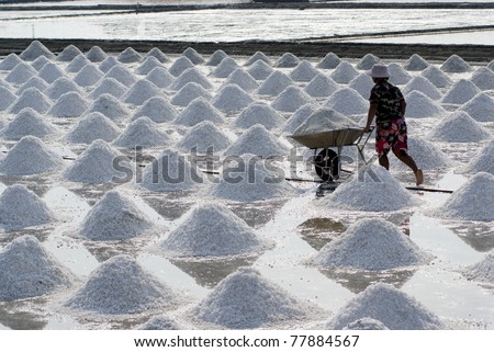 SAMUTSONGKRAM, THAILAND - MARCH 14: a woman works at a salt farm on March 14, 2010 in Samutsongkram, Thailand. Samutsongkram is a big salt production area of Thailand.