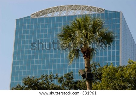 Palm tree in front of an office building in Florida